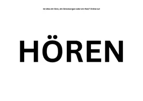Vorschau - Präsentationen/Tafelbilder - Sinne Sinnesorgane Reize (inkl. interaktivem Quiz) - Seite 3