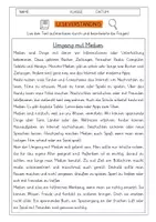 Vorschau - Arbeitsblätter - Leseverständnis 3. Klasse "Umgang mit Medien" - Deckblatt