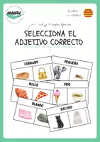 Vista previa - Tarjetas / Manipulativos - SELECCIONA EL ADJETIVO CORRECTO - Portada