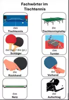 Vorschau - Arbeitsblätter - Tischtennis - Arbeitsblätter (Theorie, Vertretungsmaterial) - Seite 2