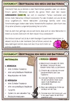 Vorschau - Arbeitsblätter - Toastbrotexperiment (Übertragung von Viren und Bakterien) - Seite 2