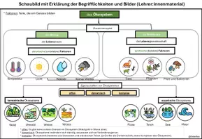 Vorschau - Arbeitsblätter - Ökosystem - Aufgaben und Schaubild - Seite 2