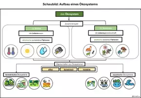 Vorschau - Arbeitsblätter - Ökosystem - Aufgaben und Schaubild - Seite 3