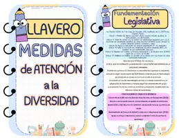 Vista previa - Refuerzo / NEE / Materiales de apoyo - LLAVERO MEDIDAS DE ATENCIÓN A LA DIVERSIDAD - Portada