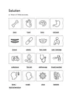 Vorschau - Arbeitsblätter - Body and Health: Vocabulary File B1 (English) - Seite 3