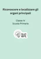 anteprima - Quiz - Riconoscere e localizzare gli organi principali - Pagina di copertina