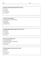 anteprima - Quiz - Riconoscere e localizzare gli organi principali - Pagina 2