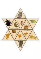 Vorschau - Spiele - Legestern Haustiere/Heimtiere, 2-fach differenziert - Seite 1