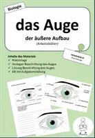 Vorschau - Arbeitsblätter - das Auge - der äußere Aufbau - Deckblatt