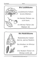 Vorschau - Arbeitsblätter - Arbeitsblätter Wald Leseheft über Waldtiere und Bäume - Seite 3