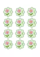 Voorbeeld - Klasnummers thema bloem - Voorblad
