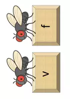 Vorschau - Stationenlernen - Rechtschreibung Fliegenklatschen z/tz, e/ä, k/ck, f/v, i/ie - Seite 3