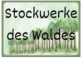 Vorschau - Poster - Stockwerke des Waldes: Tafel- oder Legematerial - Seite 3