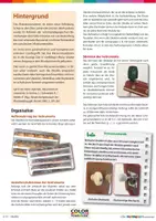 Vorschau - Stundenentwürfe - Materialpaket: Ich möchte so gerne ein Drachen sein - Orff-, Ukulelen- und Boomwhackersspielsätze - Seite 2