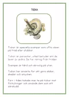 förhandsvisning - Skogens svampar - sida 3