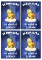 Vorschau - Anderer Materialtyp - Schildkrötenklasse Motivationskärtchen mit Traumstern - Seite 2