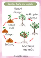 Προεπισκόπηση - Πλάνο μαθήματος / Υλικό για τον εκπαιδευτικό - Το μήλο U Better Ask JO - Σελίδα 2