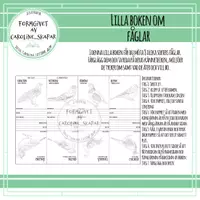 förhandsvisning - Lilla boken om fåglar - försättsblad
