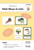 Vorschau - Präsentationen/Tafelbilder - Tafelmaterial Pflanzen des Waldes (Plakate & Schilder) - Deckblatt