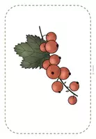 Vorschau - Präsentationen/Tafelbilder - Tafelmaterial Pflanzen des Waldes (Plakate & Schilder) - Seite 2