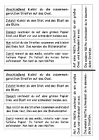 Vorschau - Stundenentwürfe - Vorgangsbeschreibung Klasse 2 (Bastelanleitung Hyazinthe) - Seite 1