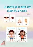 Προεπισκόπηση - Flashcards - 16 κάρτες με τα μέρη του σώματος & poster - Teacher's Little Tales - Εξώφυλλο