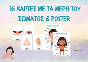 Προεπισκόπηση - Flashcards - 16 κάρτες με τα μέρη του σώματος & poster - Teacher's Little Tales - Σελίδα 1
