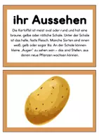 Vorschau - Arbeitsblätter - Die Kartoffel | Tafelmaterial | Arbeitsblätter | Poster - Seite 3