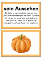 Vorschau - Arbeitsblätter - Der Kürbis | Tafelmaterial | Poster | Arbeitsblätter - Seite 3
