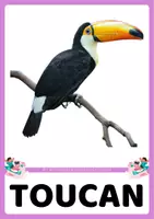 Vista previa - Juegos / Gamificación - WILD ANIMALS: Flashcards + Bingo - página 1