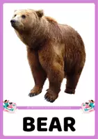 Vista previa - Juegos / Gamificación - WILD ANIMALS: Flashcards + Bingo - página 2