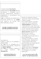 anteprima - Schede informative - Lapbook di studio cl. 4° - la civiltà cinese - Pagina 2