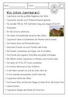 Vorschau - Arbeitsblätter - Text der Woche Capybaras / Wasserschweine - Seite 2