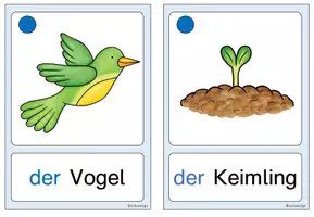 Vorschau - Fördermaterial/Inklusion - FRÜHLING / Bildkarten - Seite 3