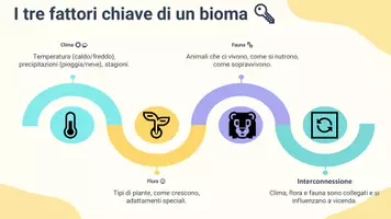 anteprima - Presentazioni / Lavagne - Esplorando i biomi della Terra - Presentazione - Pagina 3