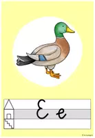 Vorschau - Poster - Anlautplakat für Karibu (österr. Schreibschrift) farbe und beige - Seite 2