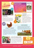 Aperçu - Autre type de ressources - Mon-journal-animal-#18 - Page 3