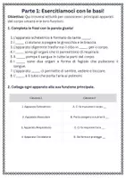 anteprima - Schede informative - Spiegare le funzioni di ciascun apparato - SL - Pagina 1