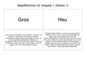 Vorschau - Stundenentwürfe - Stationenlernen "Milch": Station 1 - Wie kommt die Milch ins Euter? - Seite 2