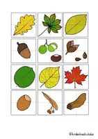 Vorschau - Mal- und Bastelvorlagen - Herbstbäume, -Blätter & -Früchte 🍁 - Materialpaket - Seite 1