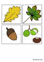 Vorschau - Mal- und Bastelvorlagen - Herbstbäume, -Blätter & -Früchte 🍁 - Materialpaket - Seite 3