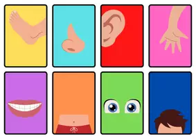 Vista previa - Juegos / Gamificación - Memory Partes del Cuerpo Humano - página 1