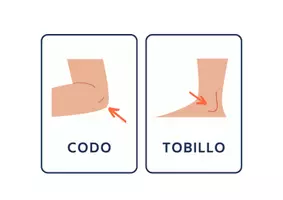 Vista previa - Unidades / Secuencias / Situaciones de Aprendizaje - Partes del Cuerpo Humano Infantil - página 2