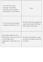 Vorschau - Spiele - Stop and Swap Spiel Mose / 10 Gebote - Seite 3