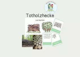 Vorschau - Stationenlernen - Die Totholzhecke / Lernkarten / Lernwörter - Deckblatt