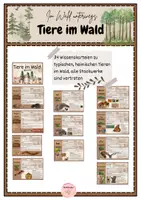 Vorschau - Stationenlernen - Tiere im Wald: 34 detaillierte Wissenskarteien für Steckbriefe - Deckblatt