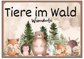 Vorschau - Stationenlernen - Tiere im Wald: 34 detaillierte Wissenskarteien für Steckbriefe - Seite 3