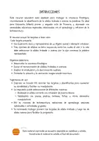 Vista previa - Tarjetas / Manipulativos - 56 TARJETAS SÍLABA TRABADA E INVERSA - página 2