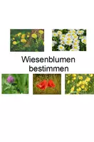 Vorschau - Spiele - Powerpoint und große Bildkarten zu Wiesenblumen, Quiz (5 Blumen) - Deckblatt
