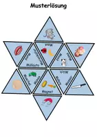 Vorschau - Spiele - GRATIS Legestern Buchstabe M Wortschatz - DaZ/DaF, Deutsch (Klassen 1 und 2) - Seite 2